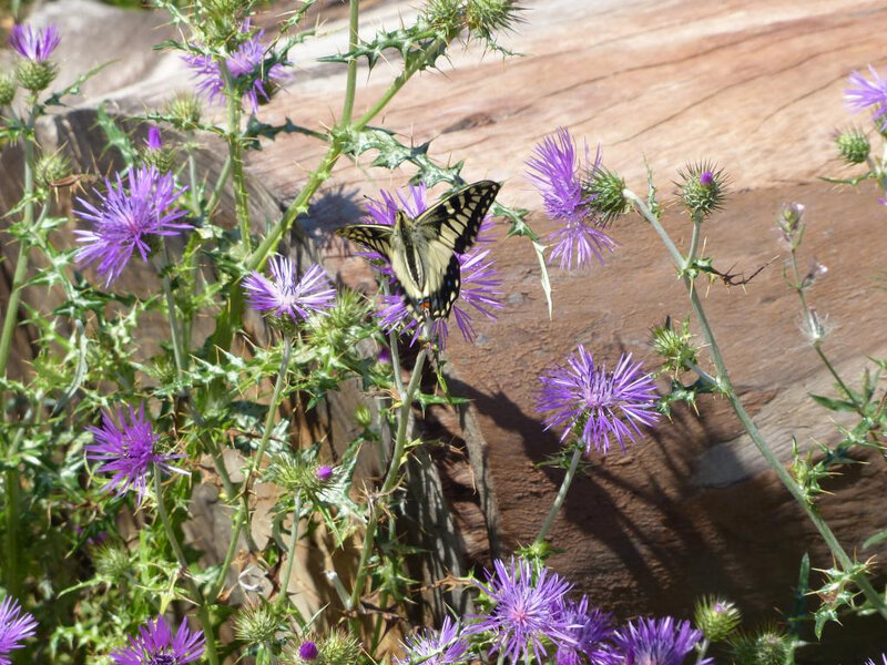 P1250011