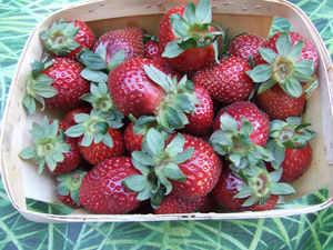 fraises1