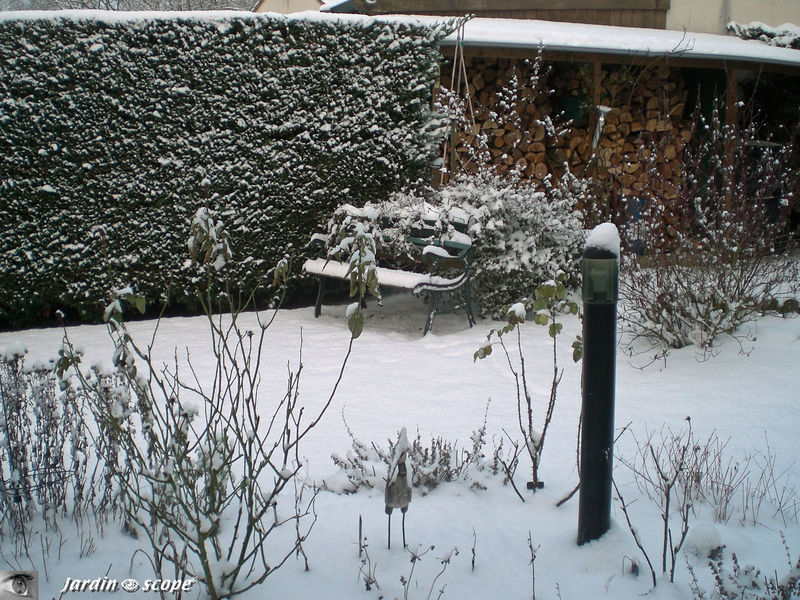 Le jardin sous la neige Hiver 2009 - 2010