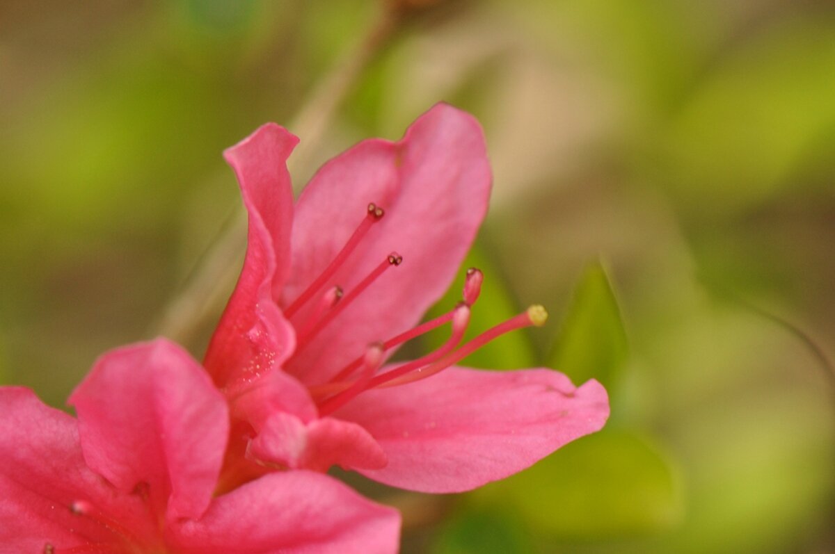 DSC_1001
