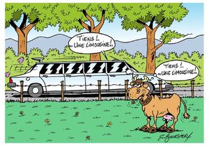 limousine COUL