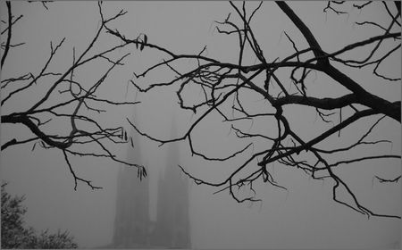 ville_brume_matin_branches_eglise_150111_NB