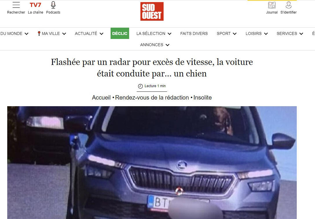 Siensien flashé