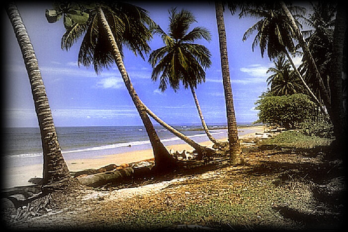 PLAGE LIBREVILLE