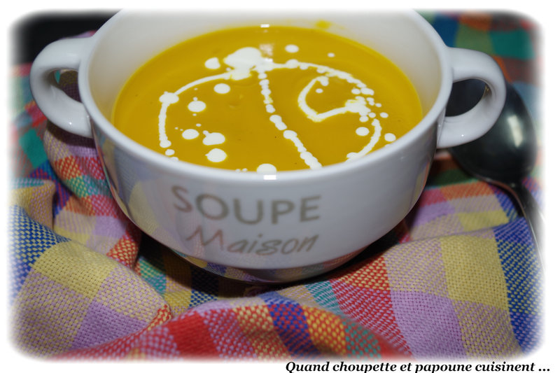 soupe de potimarron au TM-8021