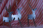 reindeer_3