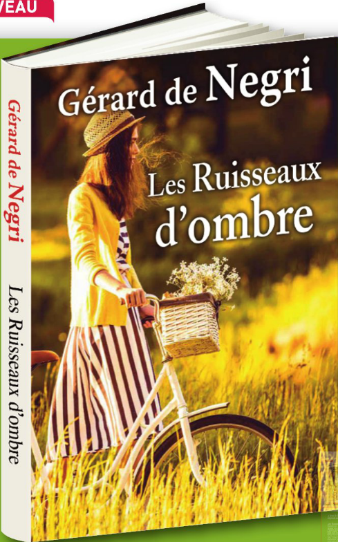 GRAND LIVRE DU MOIS - REVUE N° 399 - OCTOBRE 2015 - ROMANS REGIONAUX - SUITE