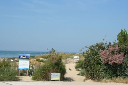 CAP FERRET (2)