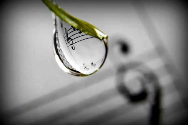 musique