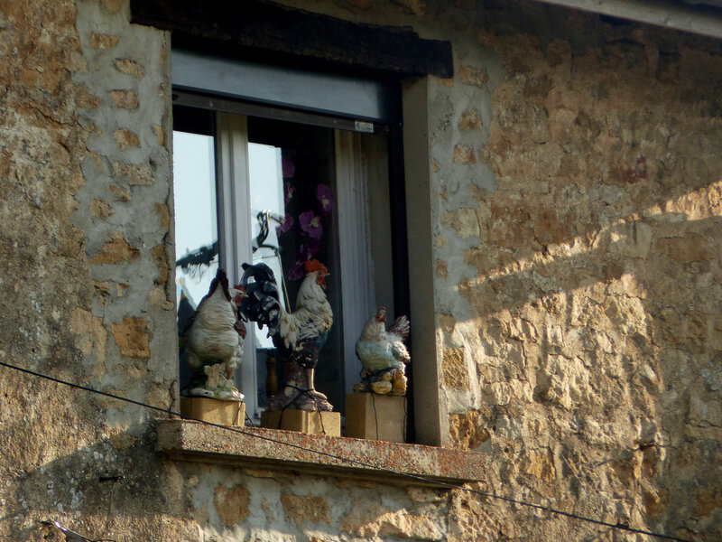 P1550416