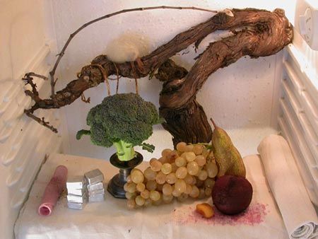 fridgebroc