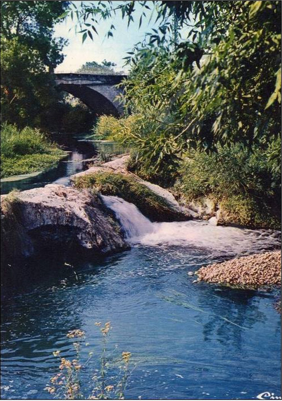 La Nartuby vers le Grand pont