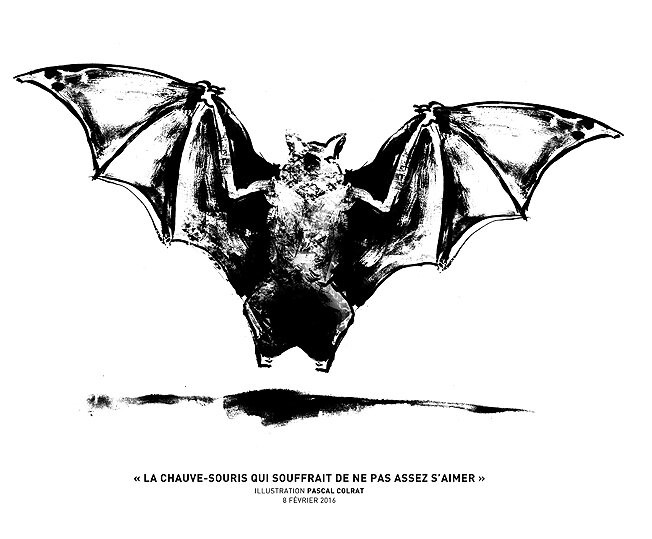 la chauve-souris qui souffrait de ne pas assez s'aimer