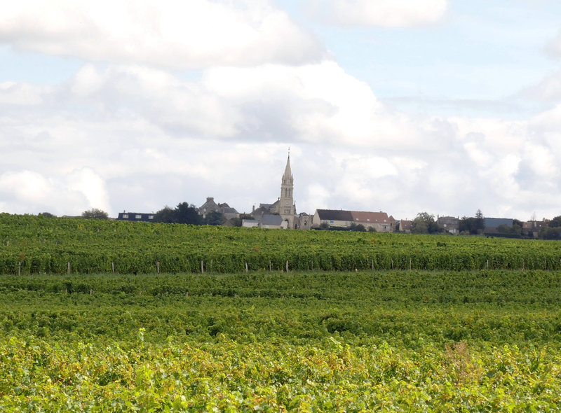 Pouilly-sur-Loire, De Loire en vignes, les vignes de cris, vue sur Saint-Andelain (58)