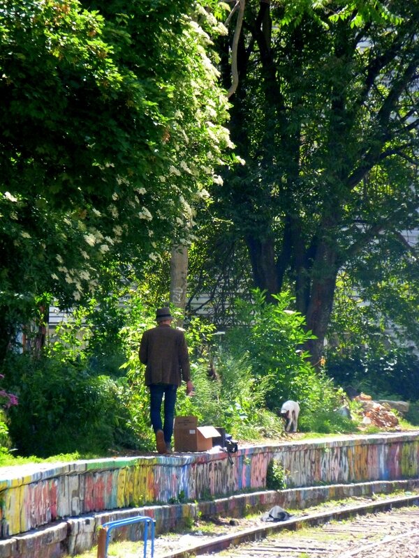 La petite ceinture 11