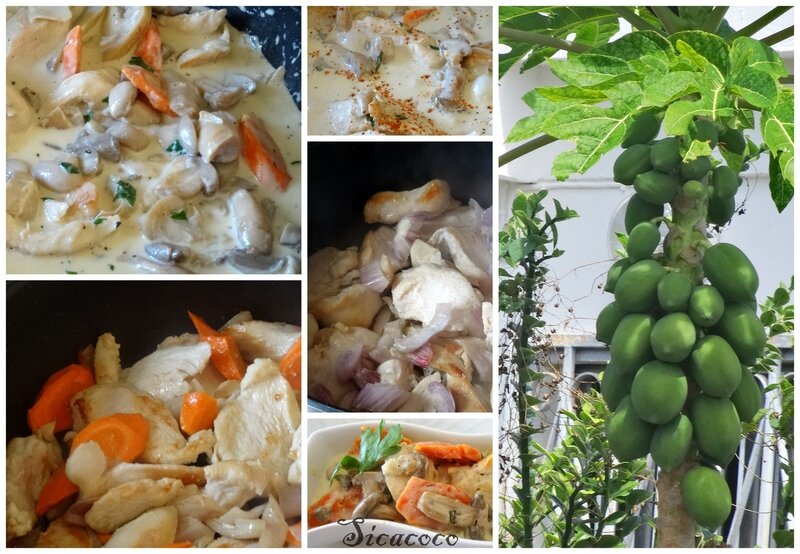 émincé de poulet sauce moutardée