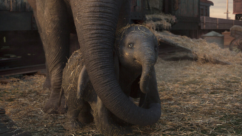 DUMBO-RGB-021_bj_0340_v0465