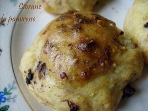 biscuits_au_fromage_dores