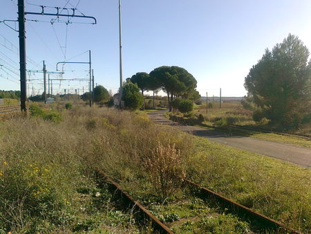 Photo0268