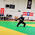REMI KUNG FU Tradi - Médaille d'Or