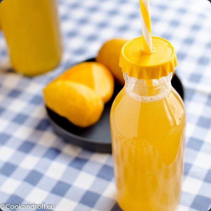 Kefir-mangue-alphonso-2-2