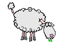 mouton_046