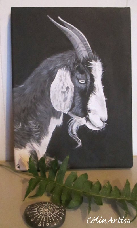 "portrait chèvre" (acrylique sur toile)