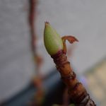 2012-01-0910