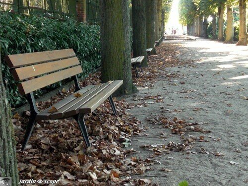 Allée des bancs jardin des plantes (détails)