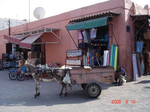 Ane___Marrakech