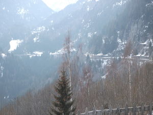 DSCF0951