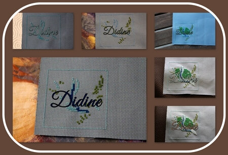 didine_saltort_col2