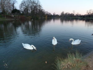 Bois_de_Vincennes