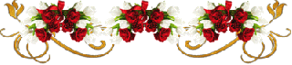 Gif barre trois bouquets fleurs rouges et blanches volutes or 319 pixels
