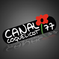 Canal Coquelicot : Reportage sur le projet de <b>Brice</b> <b>Rabaste</b> et son équipe