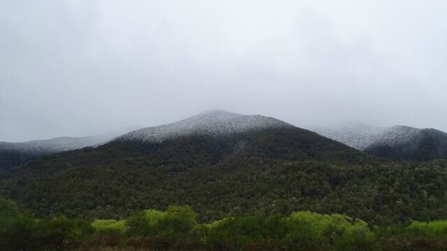 DSC01002