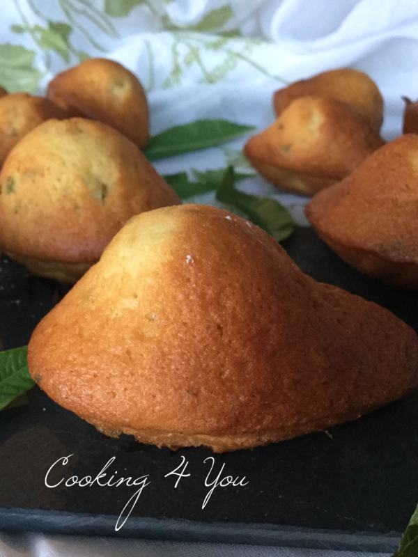 madeleines verveine 022