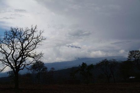 le kilimanjaro derriere les nuages