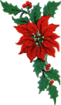 noel_houx_20