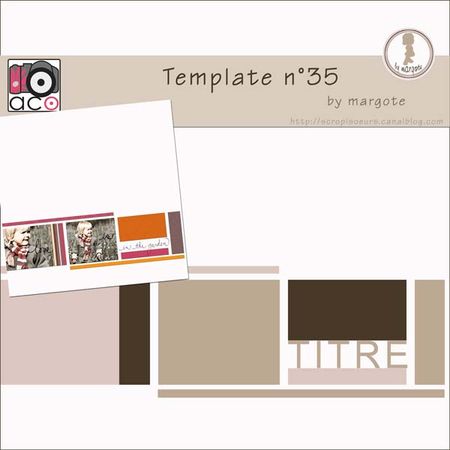 preview_template_n_35_by_margote