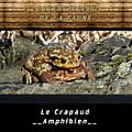 Observatoire : Crapaud commun