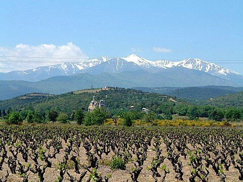 Canigou