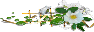 Gif barre belle composition fleurs blanches a droite 320 pixels