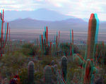 758px_3D_dusk_on_Desert