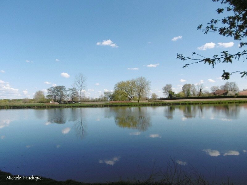 1-Etangs de la Marnière, de Vicq d'Auribat, de St Jean de Lier 280317