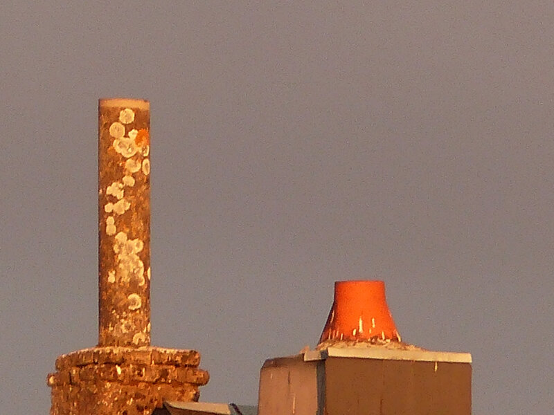 P1550860