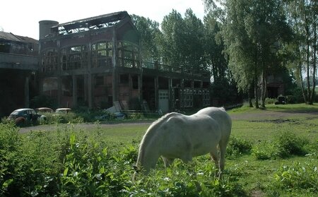 A047 - 12 - Wasmes - Marcasse - Pascal Tierce