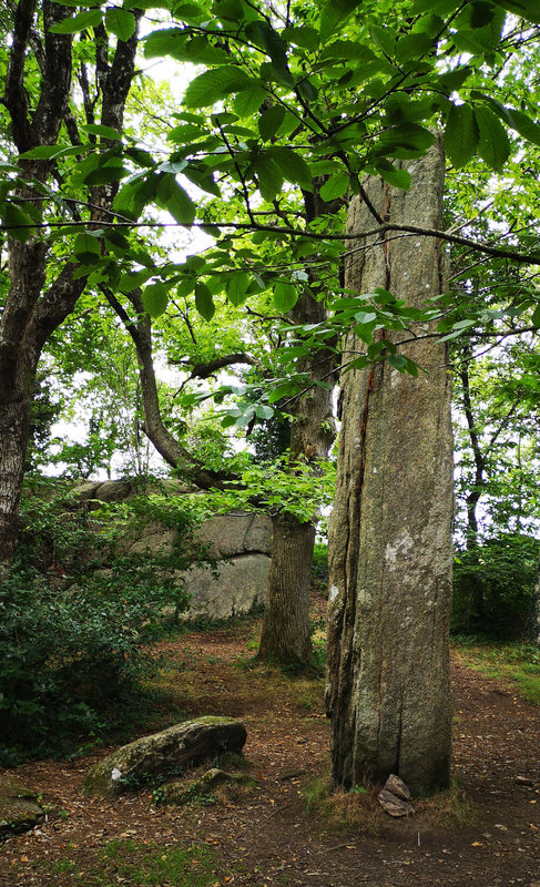 menhirs de Lespurit Ellen 8