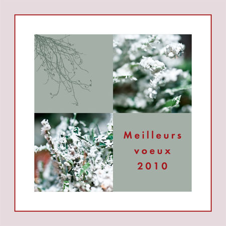 Carte_de_voeux_2010_002