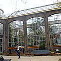 jardin <b>botanic</b> d'Amsterdam